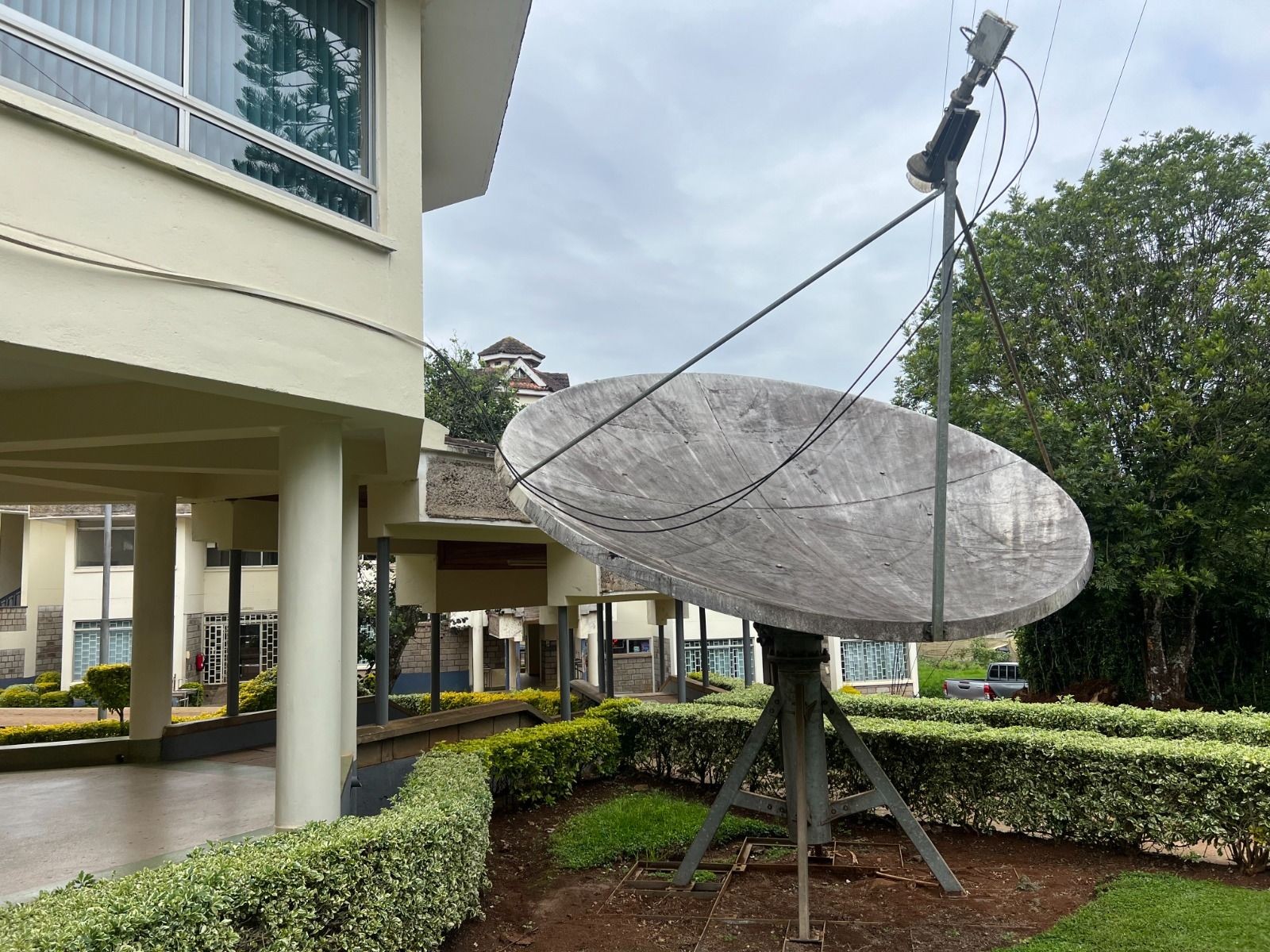 - Director, Skylink Networks Ltd